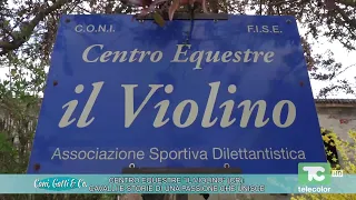 Centro equestre "Il Violino" (CR): cavalli e storie di una passione che unisce