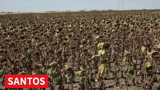NAJAVLJENA SEDNICA ODBORA ZA POLJOPRIVREDU
