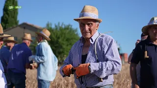 Jelsi - The Traditional Wheat Harvest - Journey into Molise - Episode 11668-02
