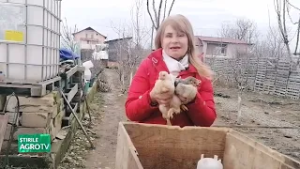 Zburătoarele din gospodărie 24 02 2026