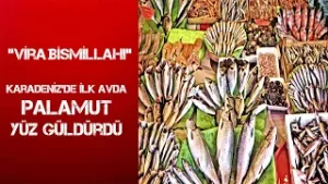 KARADENİZDE PALAMUT YÜZ GÜLDÜRDÜ