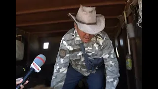 Шаһарда қой етінің бағасы қаншадан саудаланып жатыр?