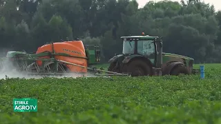 France reintroduces neonicotinoids 07/22/2026