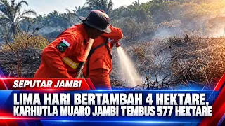 UP 4 HECTARES IN FIVE DAYS, MUARO JAMBI WILDFIRES REACH 577 HECTARES