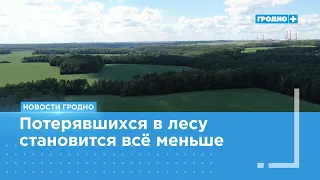 Only seven people got lost in the forest this season