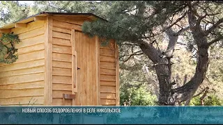 Bee Houses in Nikolskoye: Wellness and Longevity