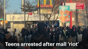 Несколько подростков задержаны во время «захвата» торгового центра Bay Plaza Mall | News 12