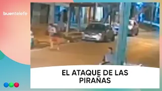 ROBO PIRAÑA a un HOMBRE y sus HIJOS en Don TORCUATO #BuenTelefe