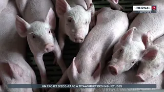 Un projet d'éco-parc à Titaaviri et des inquiétudes