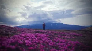 Най-прекрасното място – Марта Ляскова