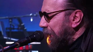 Neverne Bebe - Divlje svinje (LIVE)
