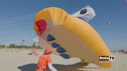 The Kite Festival in Messina