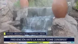 "Brain-eating" amoeba: what is the infection that caused the death of a child in Catamarca?