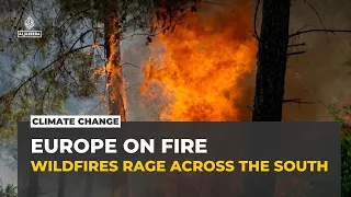 Wildfires rage across Europe as record land burns in EU this year