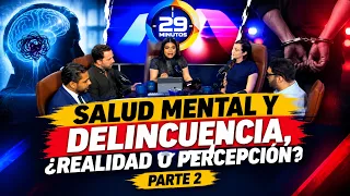 MENTAL HEALTH AND CRIME, REALITY OR PERCEPTION? | PART 2