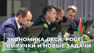 Могилёвские лесхозы подвели итоги: рекордная заготовка древесины и экономический рост