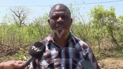 Crocodiles and snakes kill in Manica: At least three people have lost their lives this year in Guro