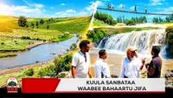 Kuula Sanbataa || Waabee Bahaartu Jifa