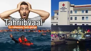 В Греции в море погибли мигранты.