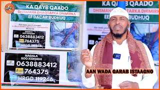 Qadhaan Ururinta Hospitalka Dhimirka ee Degmada Dacarbudhuq Dhismihiisa : sheekh Berberaawi