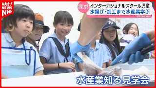 "Wow, amazing!" International school students tour a seafood processing facility