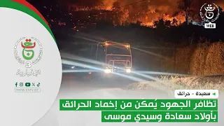 Saida - Fires | Combined efforts lead to extinguishing fires in Ouled Saada and Sidi Moussa