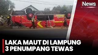 Bus Ringsek Terbalik di Lampung! 3 Penumpang Tewas Terjepit, Puluhan Luka