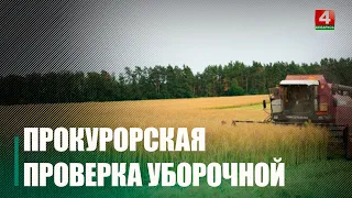 Более 30 нарушений выявила прокуратура с начала уборочной кампании в Гомельской области