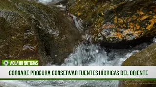 Cornare seeks to conserve water sources in the East