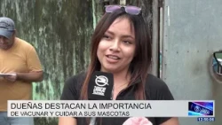 RABIES VACCINATION CAMPAIGN IS UNDERWAY IN SANTO DOMINGO