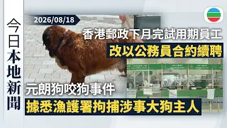今日新聞重點：元朗狗咬狗事件　據悉漁護署拘捕涉事大狗主人｜香港郵政約200名下月完試用期員工改以公務員合約續聘　工會強烈不滿｜香港新聞｜無綫新聞｜TVB News｜2026/08/18