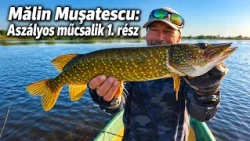 Mălin Mușatescu: Aszályos műcsalik 1. rész, Csukák a Duna-deltában