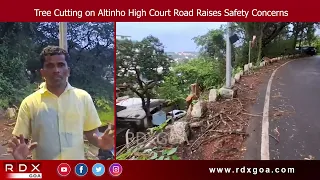 Tree Cutting on Altinho High Court Road Raises Safety Concerns