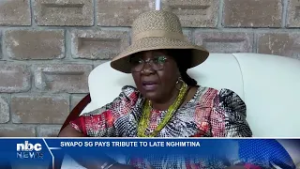 Sophia Shaningwa pays tribute to veteran politician Erkki Nghimtina - nbc