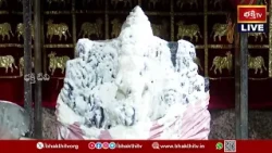 విఘ్నాలు తొలగించే వినాయకుడికి భక్తిశ్రద్ధలతో పెరుగు అభిషేకం! | Sankatahara Chaturdhi Special