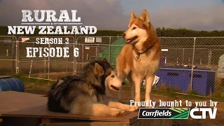 Rural New Zealand - S03 E06