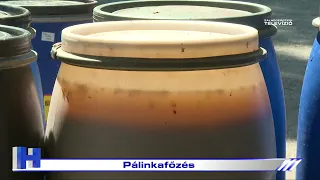 Pálinkafőzés - ZTV Híradó 2026. augusztus 26.