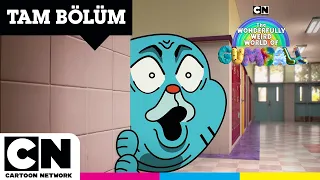 GUMBALL'IN MUHTEŞEM TUHAF DÜNYASI | Öğretmen | TAM BÖLÜM | @cartoonnetworkturkiye