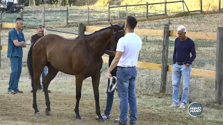 SPECIAL PRE-VETTING AT CEPPO 08-06-2026