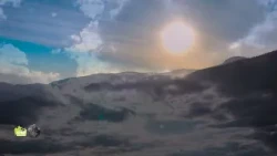 امودو :في السراء والضراء