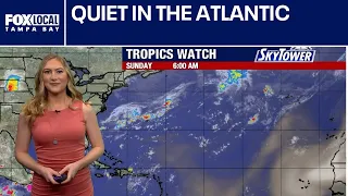 Quiet in the Atlantic