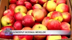 07 APPLE SEASON HAS BEGUN