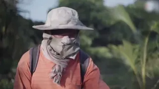 Dangers of using pesticides in extreme heat