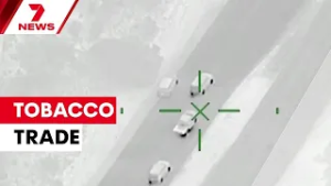 Organised crime syndicates using young recruits in WA's illicit tobacco trade | 7NEWS