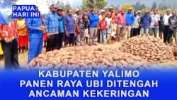 YALIMO REGENCY HARVESTS SWEET POTATOES AMID DROUGHT THREAT
