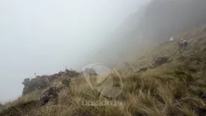 Defensores del agua exhortan a las autoridades acciones concretas para cuidar las fuentes hídricas