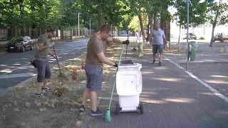 Cleaning and Beautifying the Market Area: Meet the Volunteers of "Vola Vigevano"