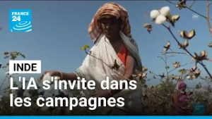 Inde : quand l'intelligence artificielle s'invite dans les campagnes • FRANCE 24