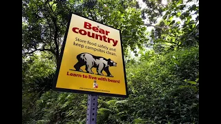 Utah reports double the number of black bear issues in 2026 compared to last year