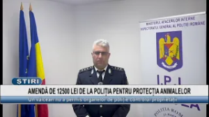 AMENDĂ DE 12500 LEI DE LA POLIȚIA PENTRU PROTECȚIA ANIMALELOR